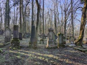 Holocaust-Gedenktag_Limburg_2_original