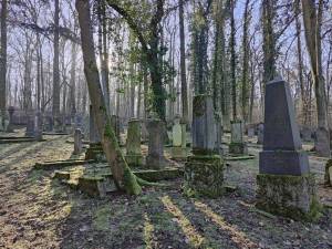 Holocaust-Gedenktag_Limburg_3_original