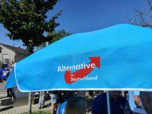 IMG20250810151324_original