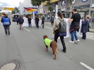 IMG20250913140036_original